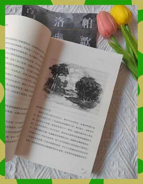探寻昔日17书屋消失之谜:何去何从?还有替代选择吗?