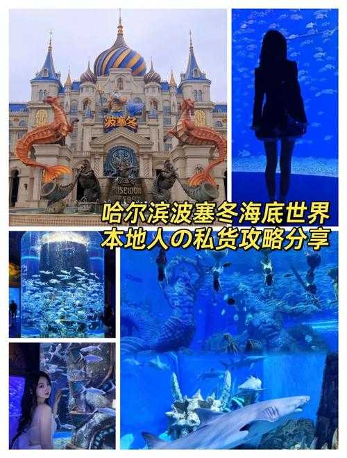 美团网波塞冬旅游指南:景点门票优惠及游玩攻略