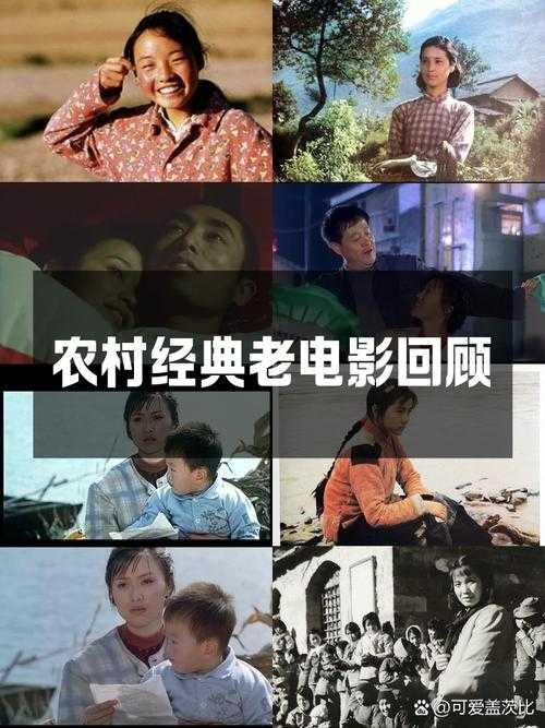张家村小龙:传奇故事与乡村记忆