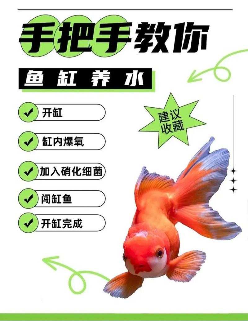 新手必看:如何成为大鱼?