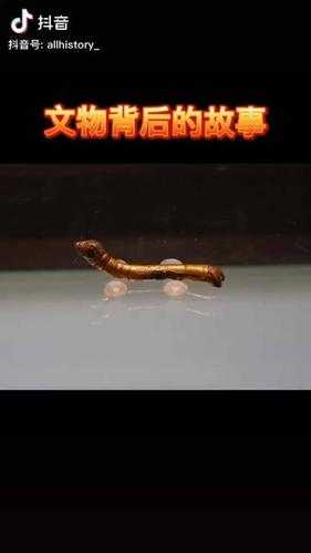 揭秘数字117461背后的秘密故事?