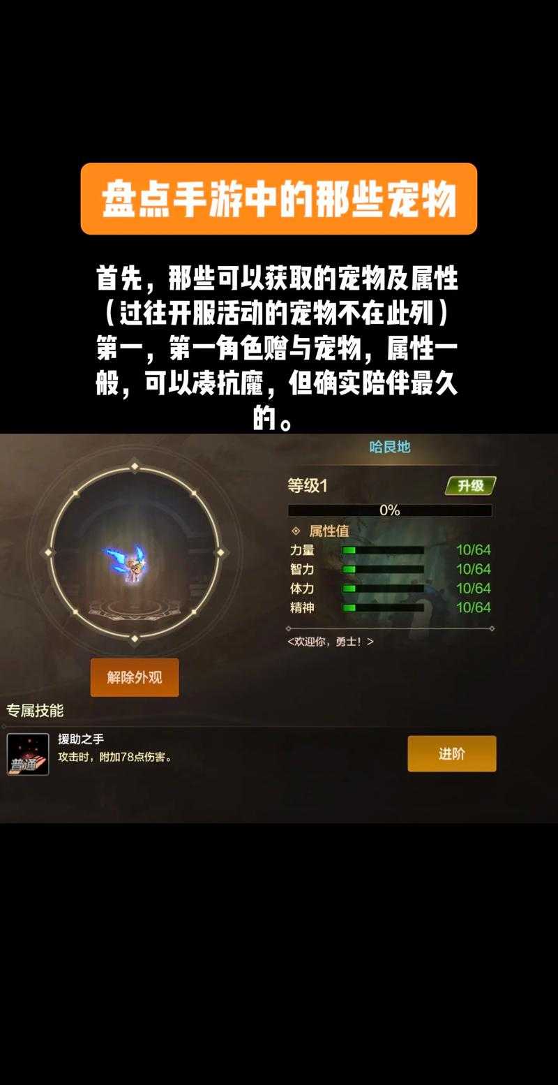 2025DNF宠物升级装备职业效率优化指南