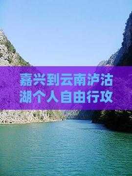 自由黄灵2025年用户4.8亿