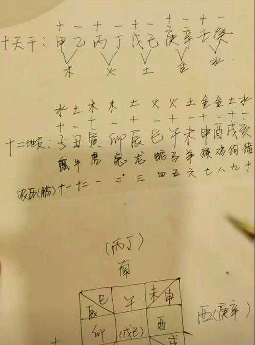 生肖数字配对:揭秘生肖与数字之间的神秘联系?