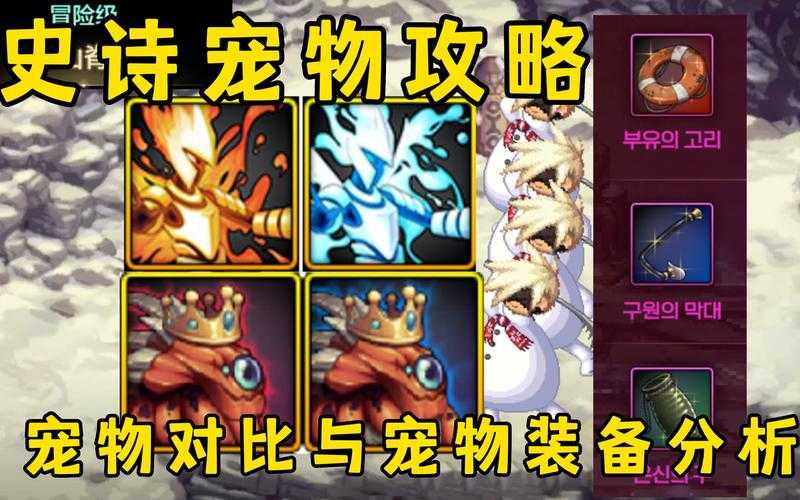 DNF宠物进化会掉等级吗?详解宠物进化机制与等级变化