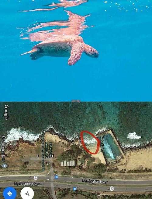 快速上手教程:教你如何在海底世界畅游无阻
