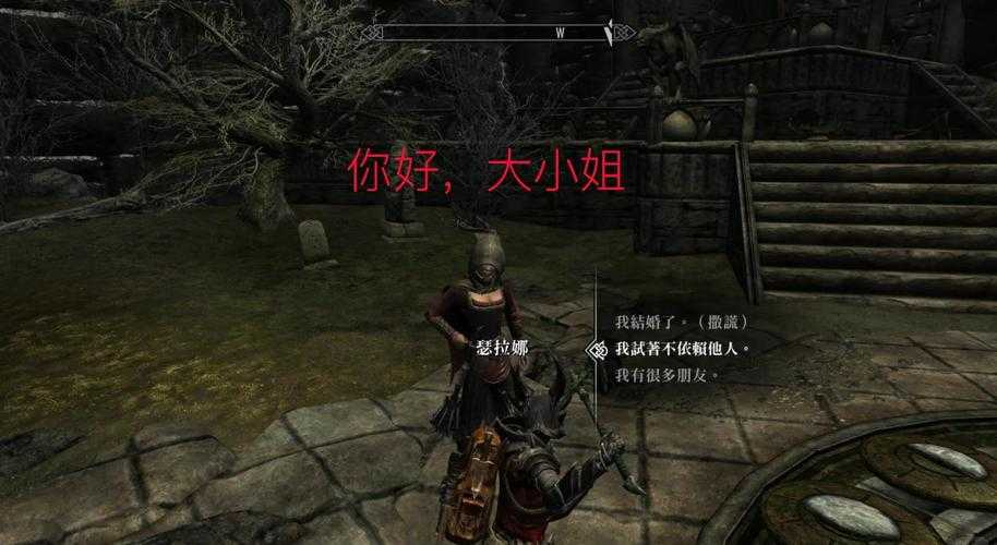 《上古卷轴5:天际》重制与《扒窃》模组生态现状