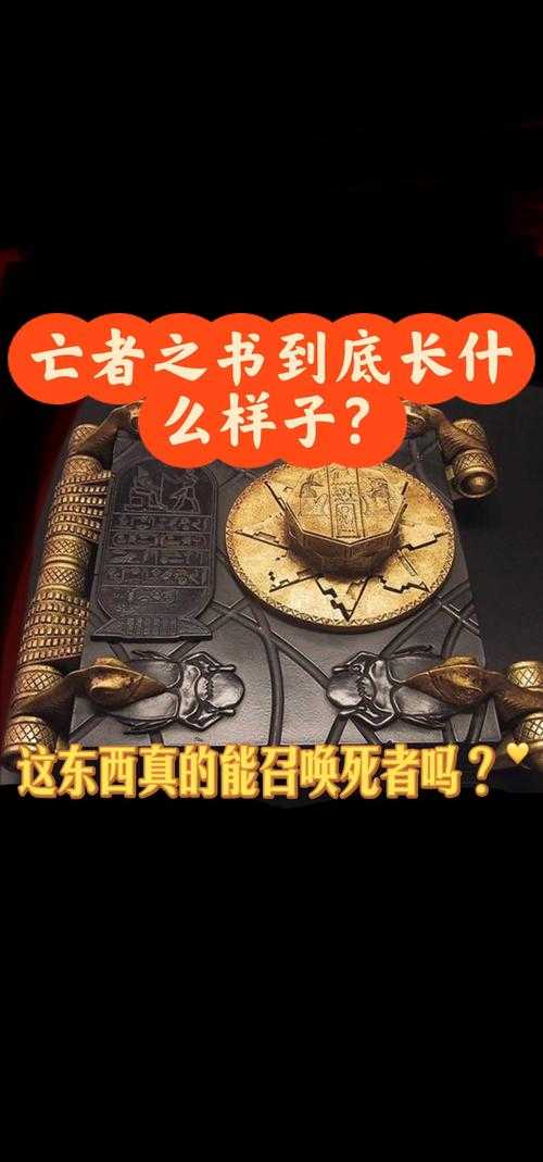 亡灵与被遗忘者:探索神秘世界的终极指南