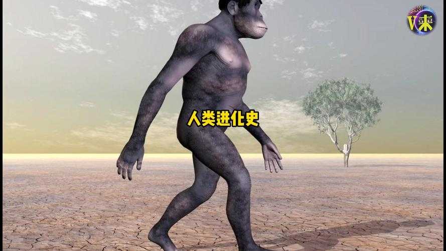 人类进化史突变第一集:揭秘人类起源与关键进化转折点