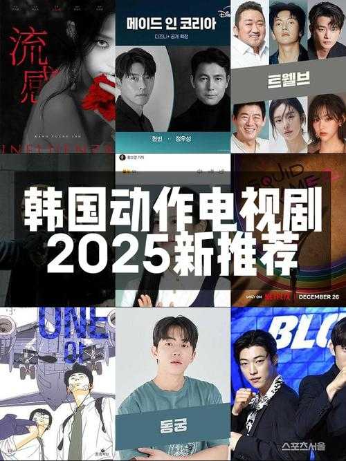 2025韩国综艺《韩国综艺吧》生态观察与趋势