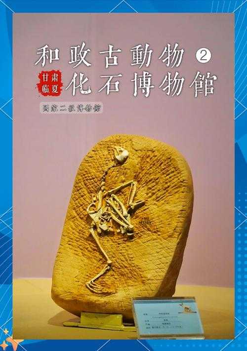 揭秘动物化石世界:探寻化石背后的秘密故事,如何解读这些古老的化石?