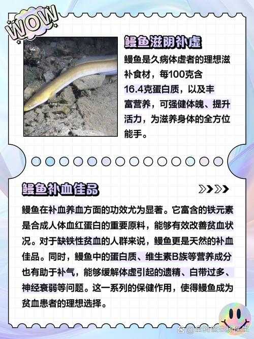 石鳞鳗2025生态价值保护与人工繁育