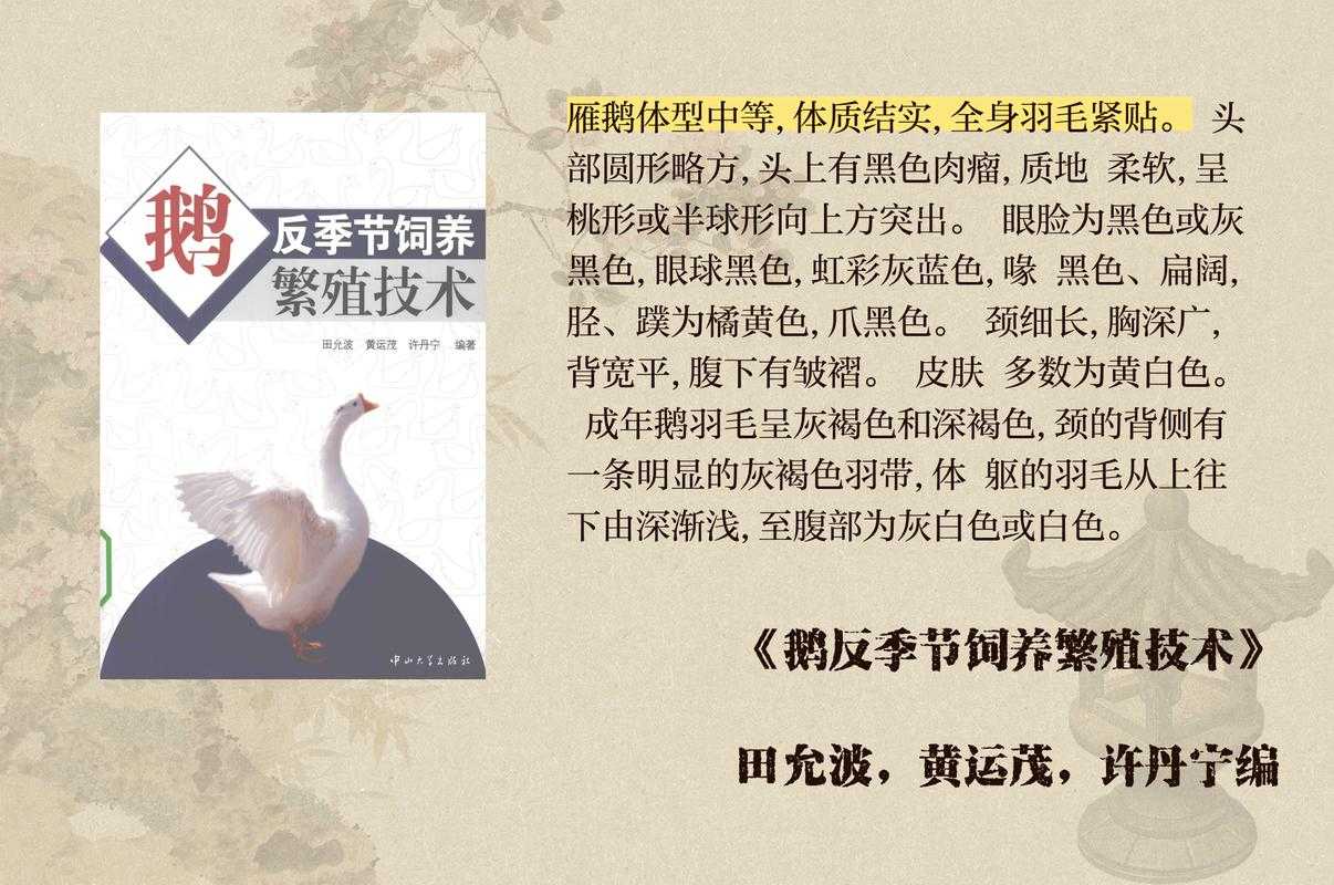 家鹅野性基因:驯化史与生态文化密码
