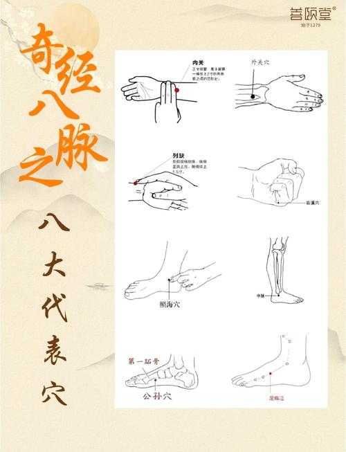 如何正确点亮龙宫奇经八脉的穴位分布图?攻略指南