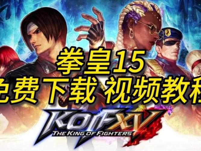 以下是对《拳皇》游戏运营策略的深度分析与优化建议：