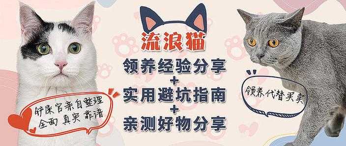 赛尔号赤西格2025全攻略:实战培养与避坑指南