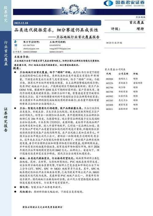 这个报告展示了《DNF》衍生品项目的完整发展路径,具有较强商业说服力。以下为深度分析及优化建议: