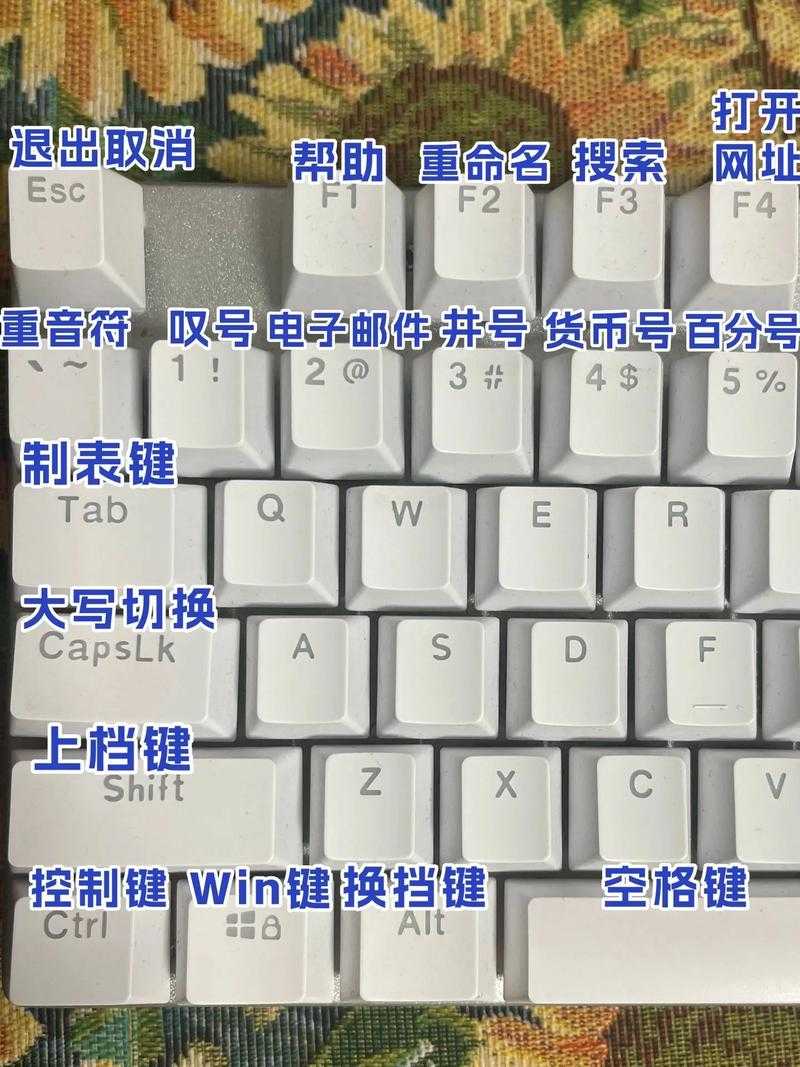 电脑键盘打字方法大全:从入门到精通