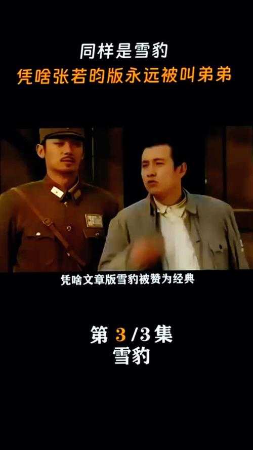 如何在线免费观看精彩的电视剧《雪豹2》?