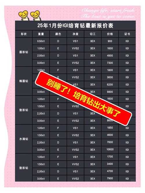 2025DMF黑钻活动玩法升级与参与策略