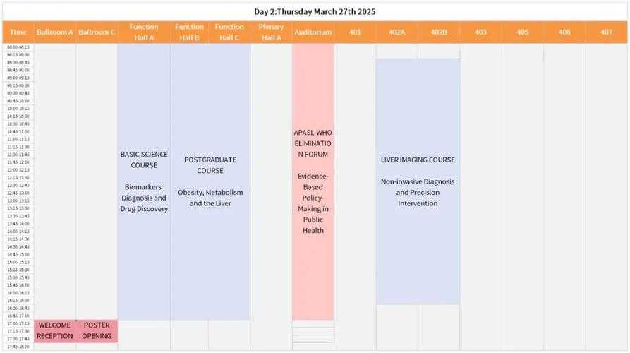 DaysMatter 2025:智能日程与全球效率革新