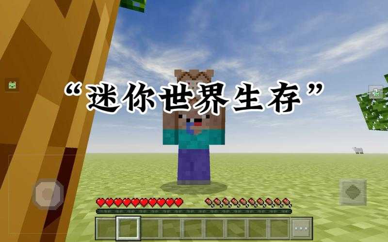 迷你世界怎么搜到生存者 生存者,玩家 生存者