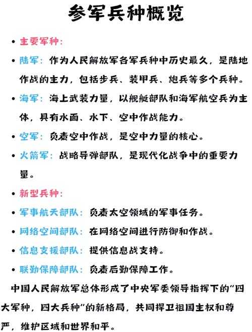 什么兵种最适合你？全面解析各兵种特点与选择指南