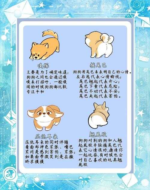 初犬漫画从0到1全流程？新手必存