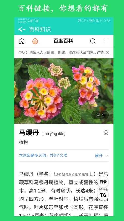 一起花app官方下载-最新版安全免费安装