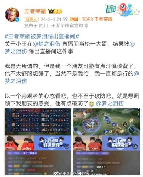 踢小王王者荣耀的是谁 小王,荣耀,账号