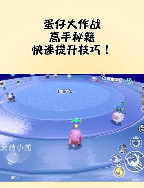 蛋仔派对夺王高手怎么玩 手把手教你从菜鸟变大佬