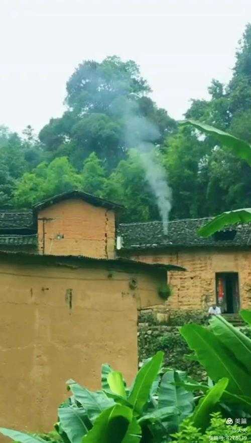 炊烟缭绕的老茶馆里 几个退伍老兵正举着手机争论得面红耳赤 视