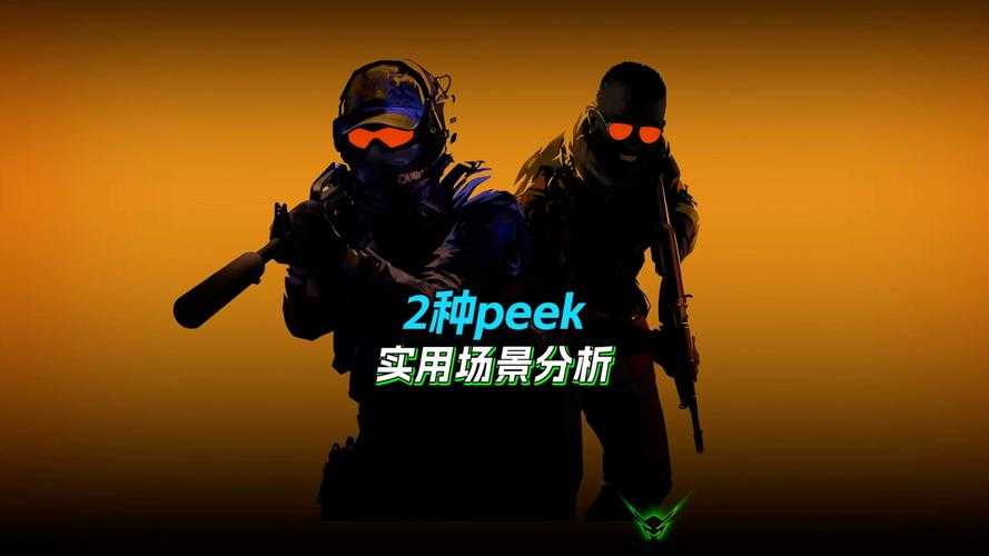 2025年CSGO2换肤器技术对比与选购指南