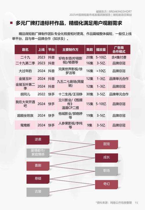 2025爱播下载技术用户双驱动与行业竞争格局