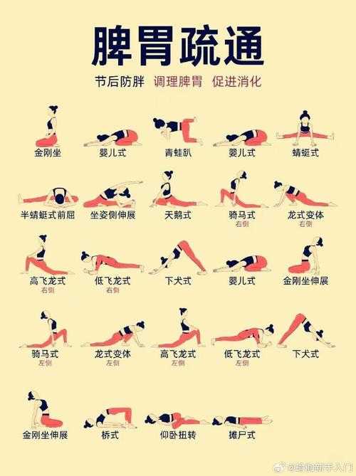 如何轻松学习瑜伽?零基础入门教学视频带你掌握瑜伽基础动作
