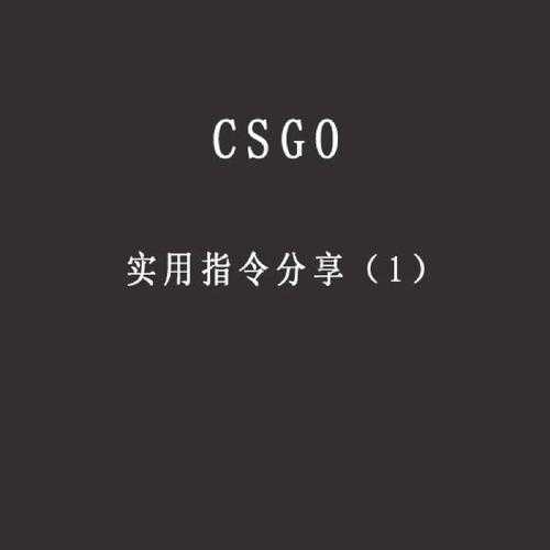 2025 CSGO道具指令全解析与数据