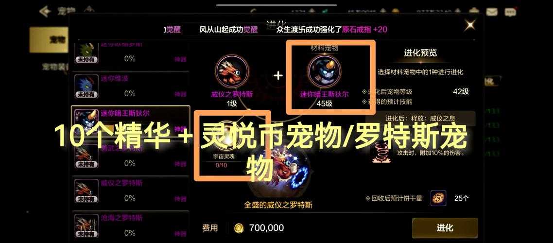 dnf宠物装备选择