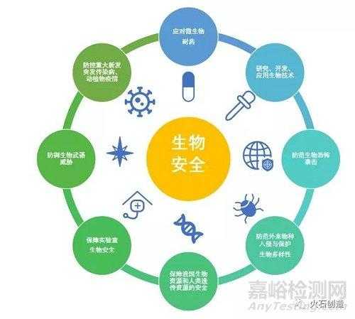2025自动投票下载安全风险防范指南