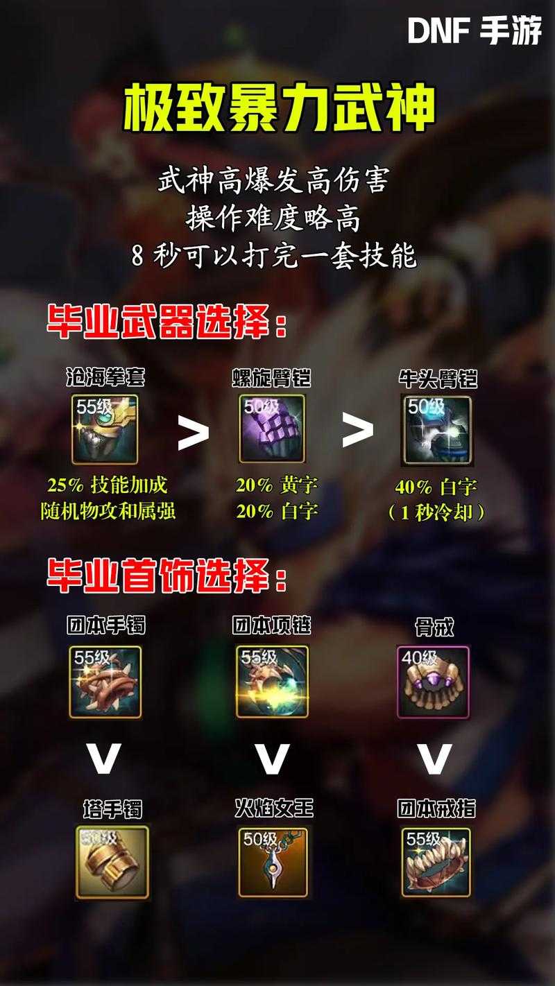 2025DNF传说装备强度职业适配王炸