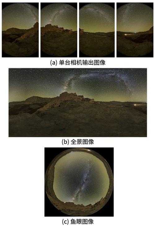 2025奥德提取技术突破与应用全景