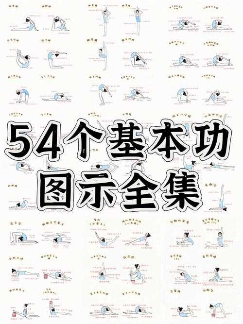 舞蹈生必备技巧:从入门到精通的全面指南