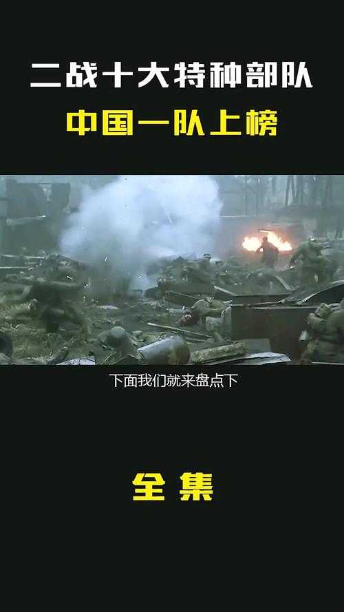二战时期的特种兵是如何解决无法保存游戏进度的困扰?