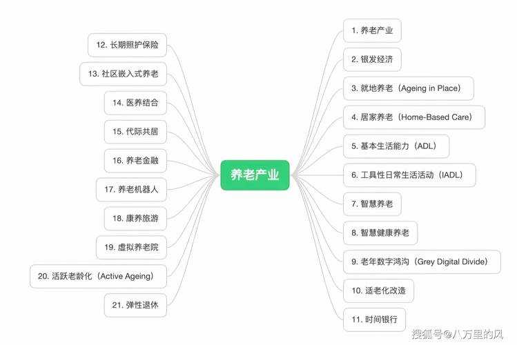 2025中国银发浪潮与智慧养老图鉴