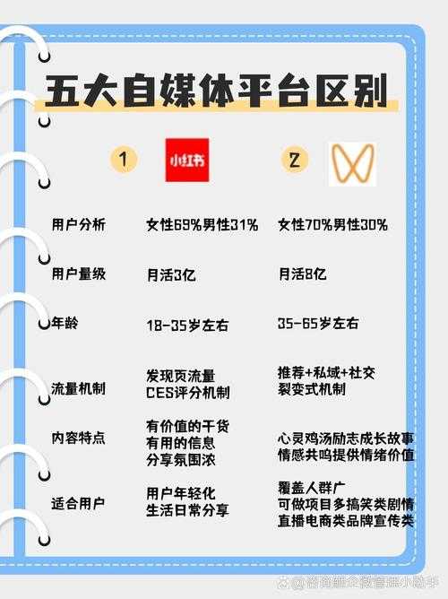 想知道09平台和11平台哪个用户群体更庞大?