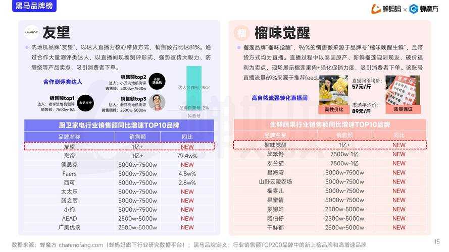 2025《洛克王国多哥》发展现状数据争议趋势