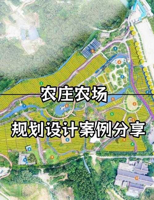 如何设计10亩家庭农庄规划方案?高效利用空间,打造理想田园生活
