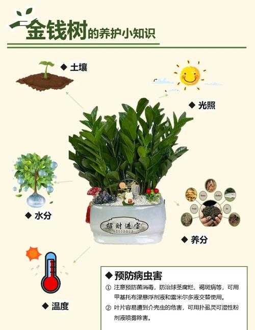 摇钱树种子种植收益详解:如何优化种植策略提高收益?
