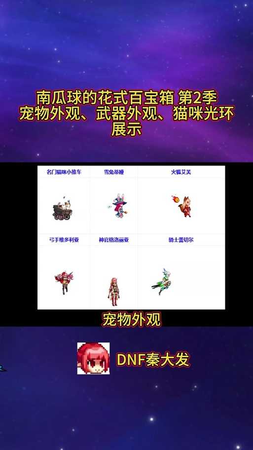 2025 DNF宠物幻化低成本高级感策略