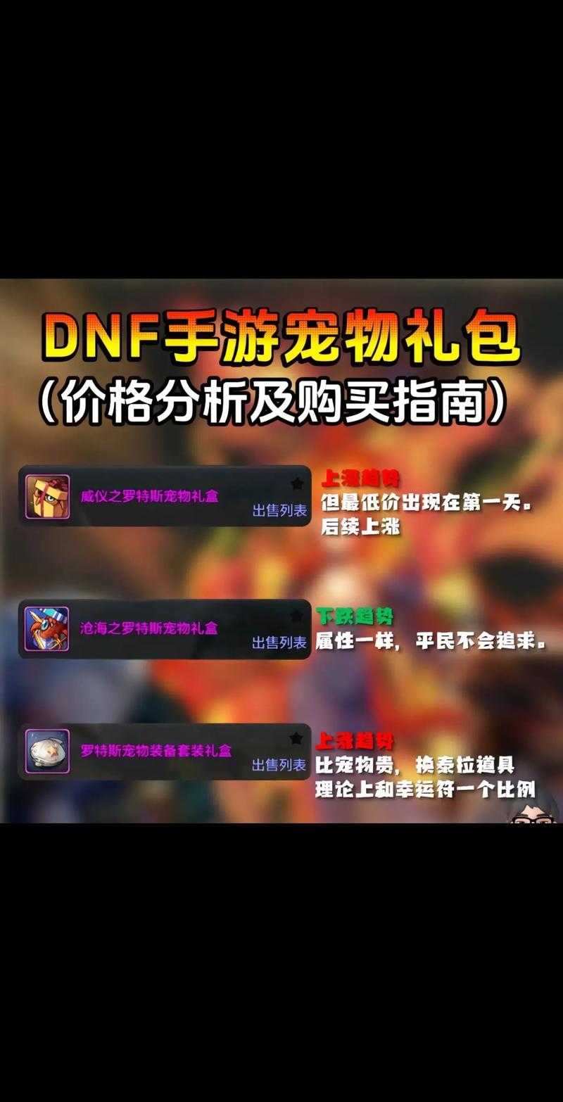 2025年DNF勇士币宠物外观价格稀有度市场波动
