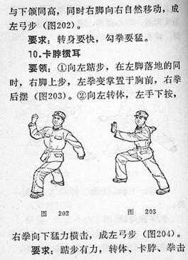 如何提升特种兵战斗力至巅峰水平?训练秘籍大公开